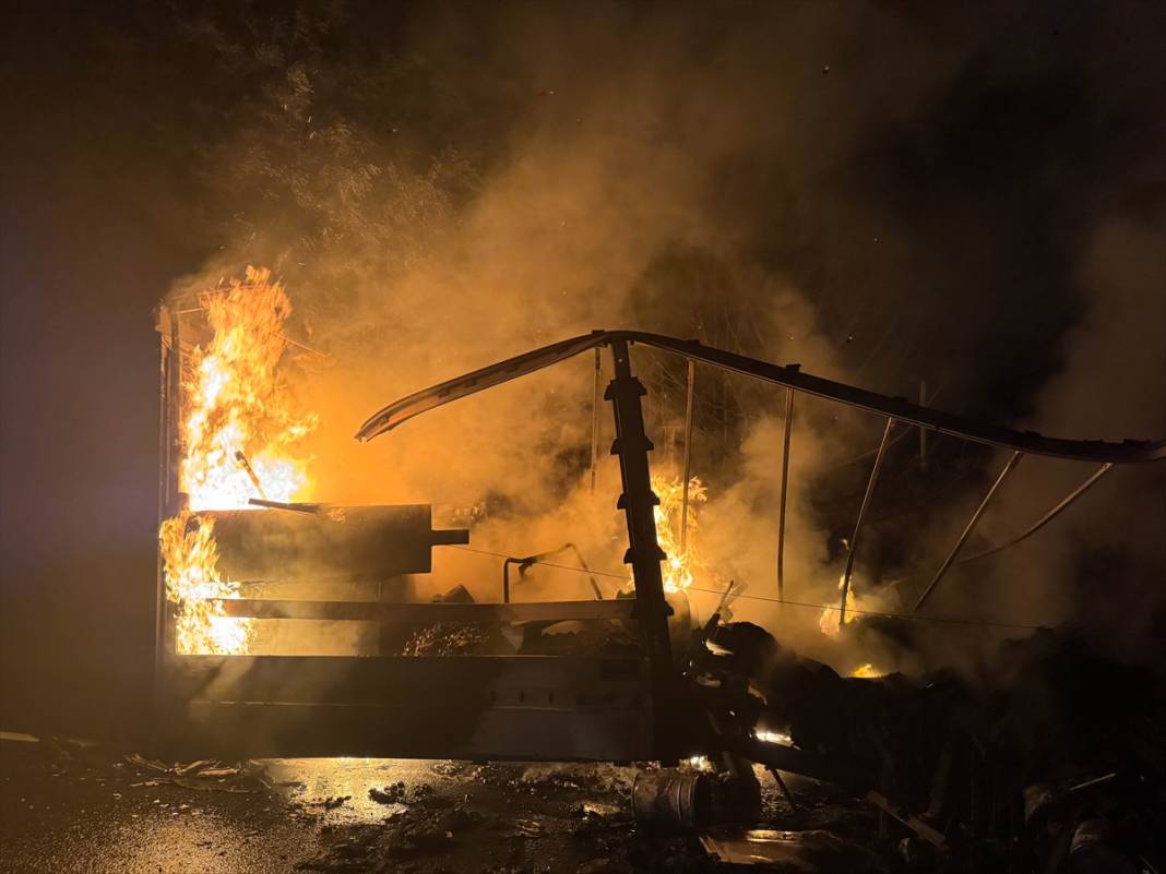 TIR yandı, alevler ağaçlara sıçradı 10